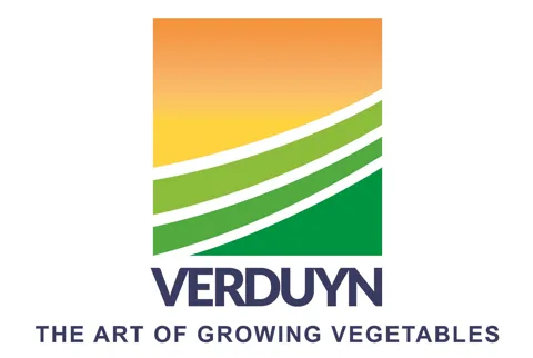 Verduyn